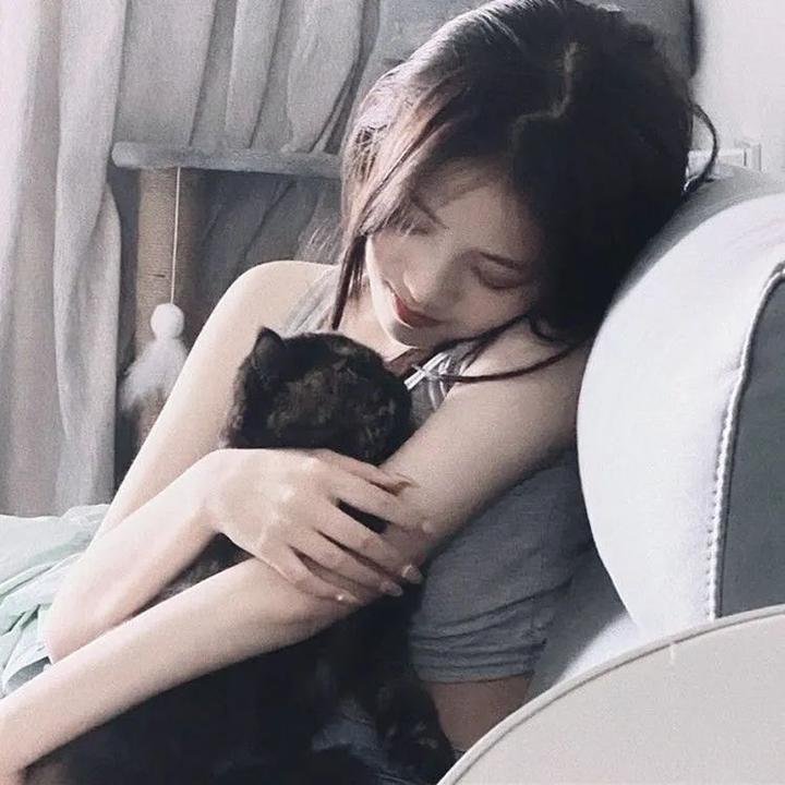 猪就是猪